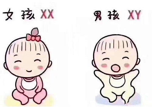 2022年香港三代试管婴儿大概多少钱？