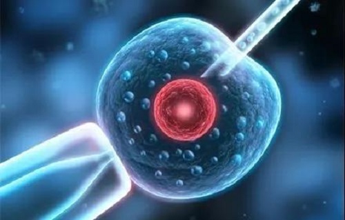 2022年做试管婴儿的全部费用大概是多少？