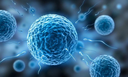郑州三代试管婴儿医院技术排名哪家好？打了疫苗能做吗？