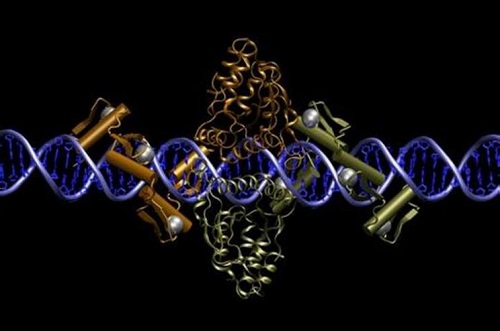 2022三代试管多少钱一次？