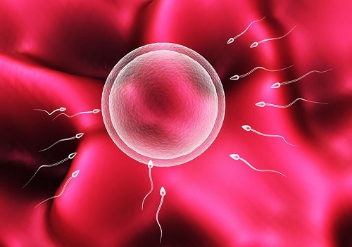 2022子宫腺肌症做试管婴儿成功率高吗？
