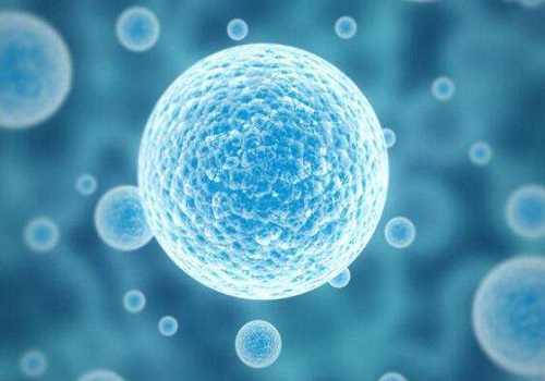 2022上海试管婴儿成功率最高的是哪个医院？