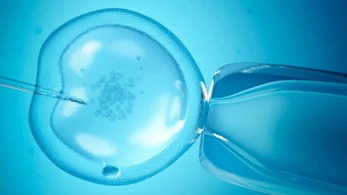 赴泰试管婴儿助孕可以“定制”吗？