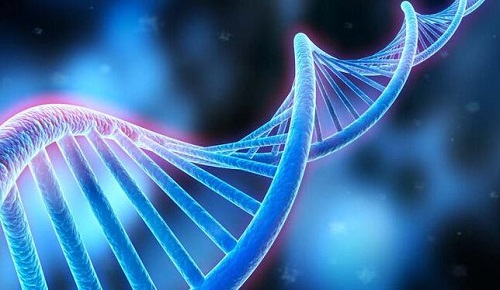 2022哈尔滨第三代试管婴儿医院排名一览