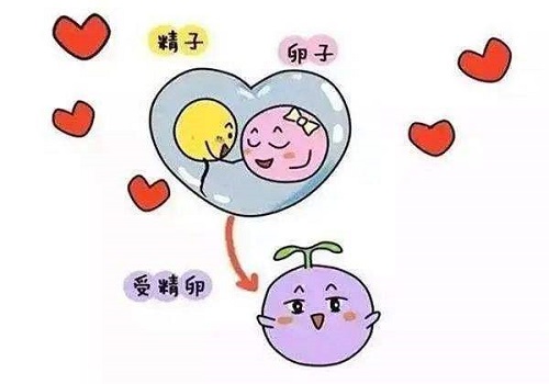 输卵管堵塞做三代试管一次成功率高吗？