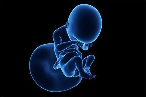 输卵管堵塞有积水能做试管婴儿吗？