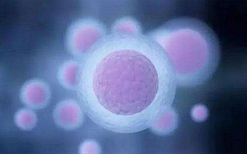 2022三代试管婴儿技术适用范围分别是什么？
