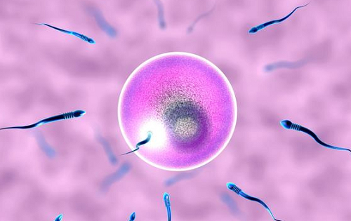 2022三代试管婴儿流程安排怎样的？