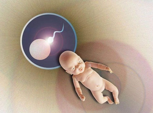 试管婴儿胚胎移植前后都有哪些需要注意的事项？