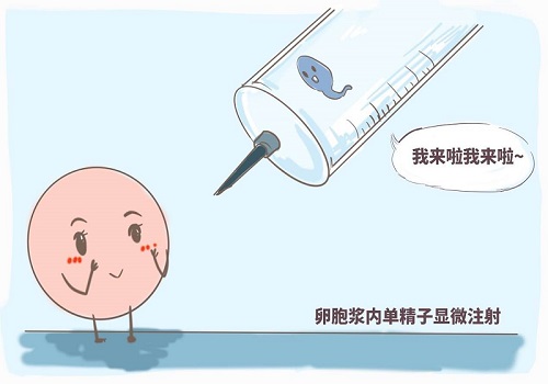 试管婴儿费用明细参考