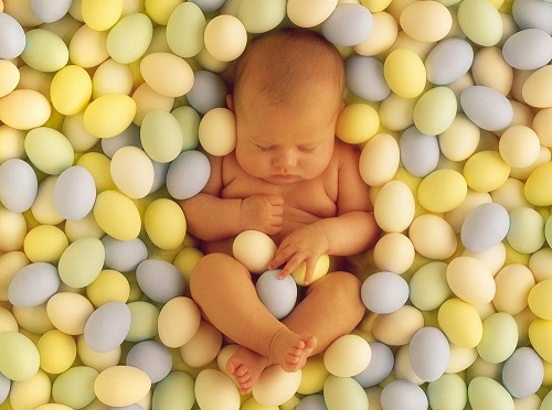 2022做试管婴儿的全部费用大概是多少？