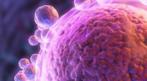 2020有去博鳌试管三代成功的嘛？要花多少钱？