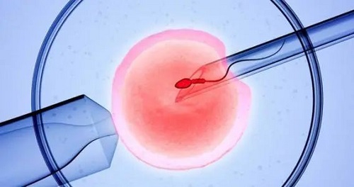 赴泰试管为什么冻胚移植前要测排卵呢