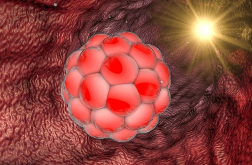 2021试管婴儿费用可以走医保吗？