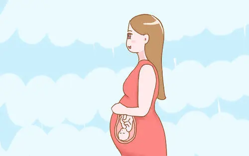 赴美做试管婴儿需要多少钱
