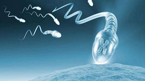 2022哈尔滨第三代试管婴儿价格贵么？