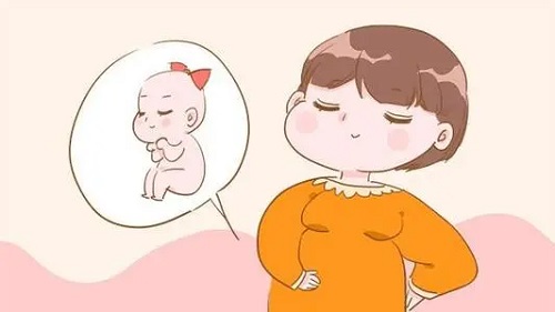 详解试管婴儿生育治疗六大内容