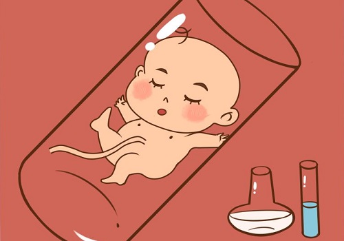 试管婴儿聪明吗？胚胎等级越高越聪明吗？