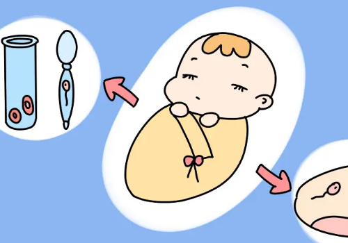 试管婴儿的过程是什么