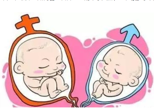 去俄罗斯做试管婴儿的攻略？​